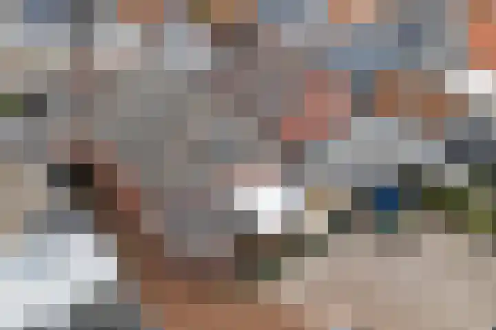 Foarstrjitte 23 Holwert thumbnail 42