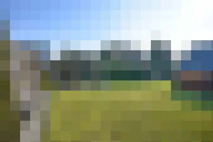 Foarstrjitte 63 De Westereen thumbnail 14