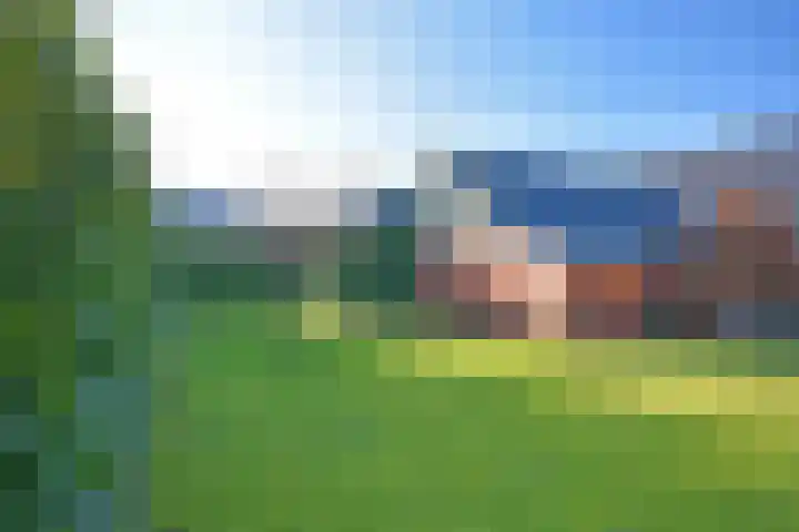Foarstrjitte 63 De Westereen thumbnail 17