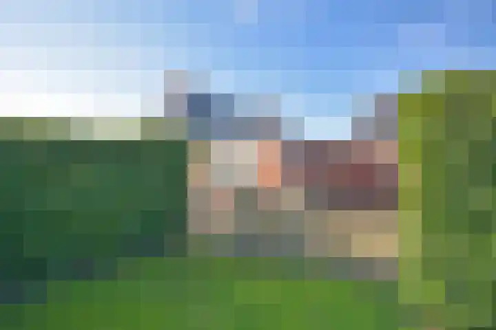 Foarstrjitte 63 De Westereen thumbnail 18