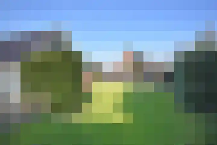 Foarstrjitte 63 De Westereen thumbnail 19