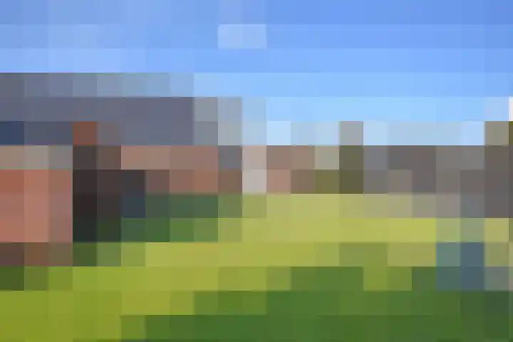 Foarstrjitte 63 De Westereen thumbnail 20