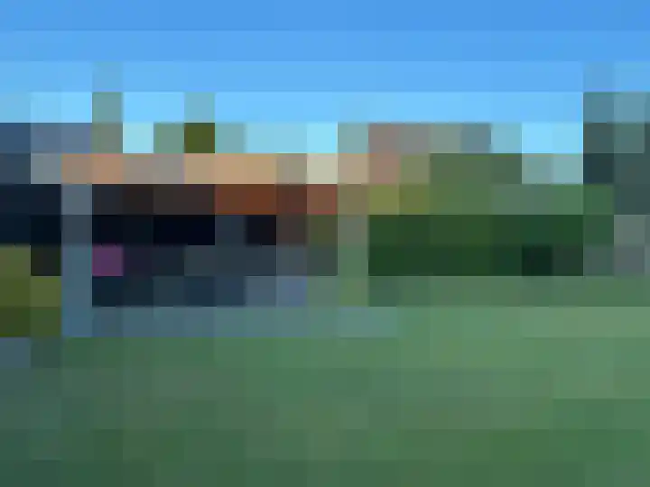 Foarstrjitte 63 De Westereen thumbnail 23