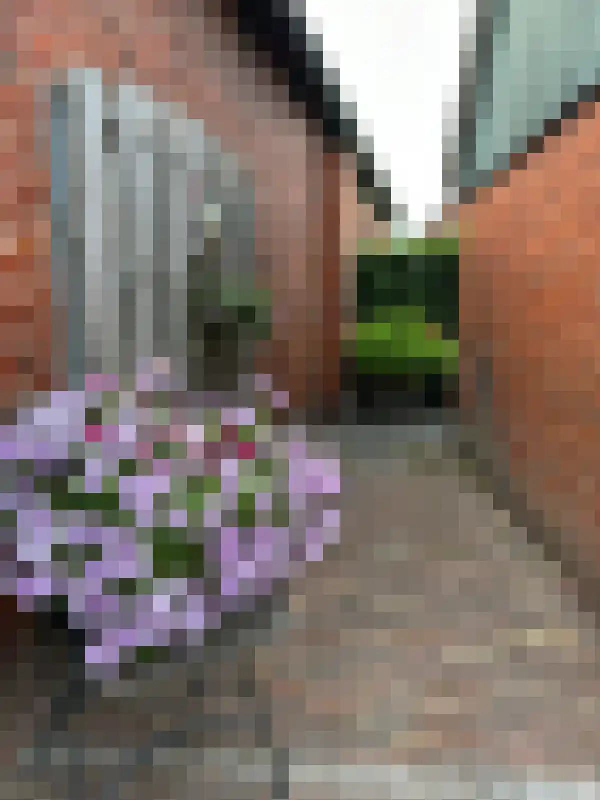Foarstrjitte 63 De Westereen thumbnail 28