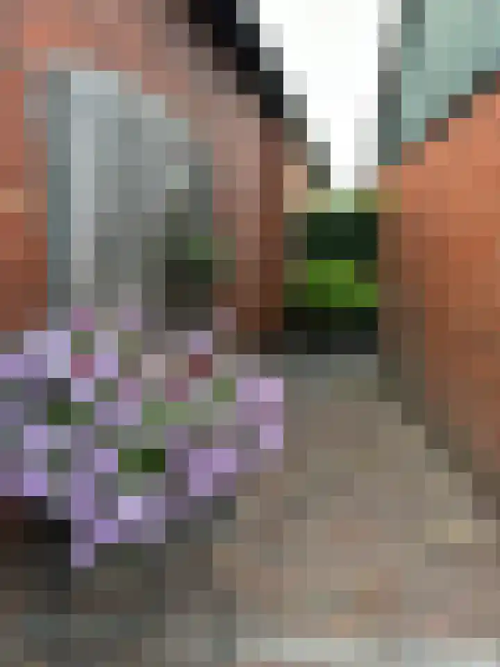 Foarstrjitte 63 De Westereen thumbnail 28