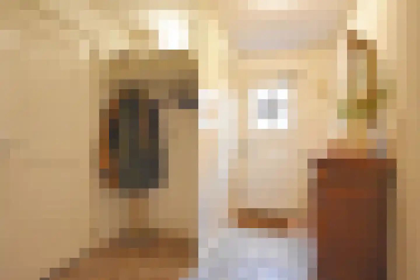 Foarstrjitte 63 De Westereen thumbnail 32
