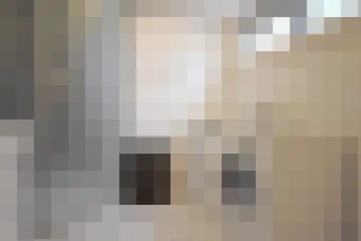 Foarstrjitte 63 De Westereen thumbnail 33