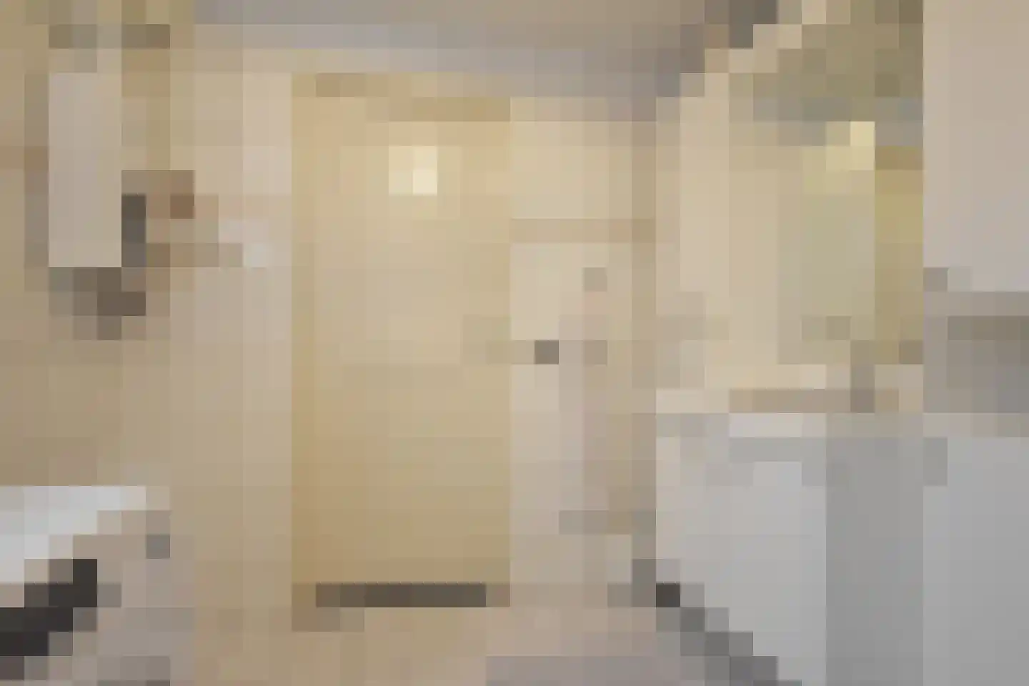 Foarstrjitte 63 De Westereen thumbnail 35