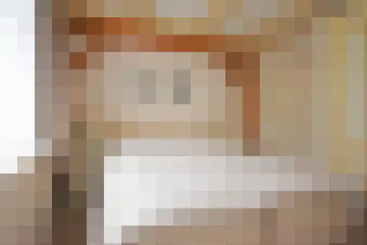 Foarstrjitte 63 De Westereen thumbnail 38