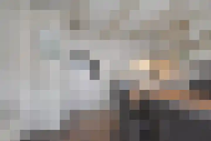 Foarstrjitte 63 De Westereen thumbnail 41