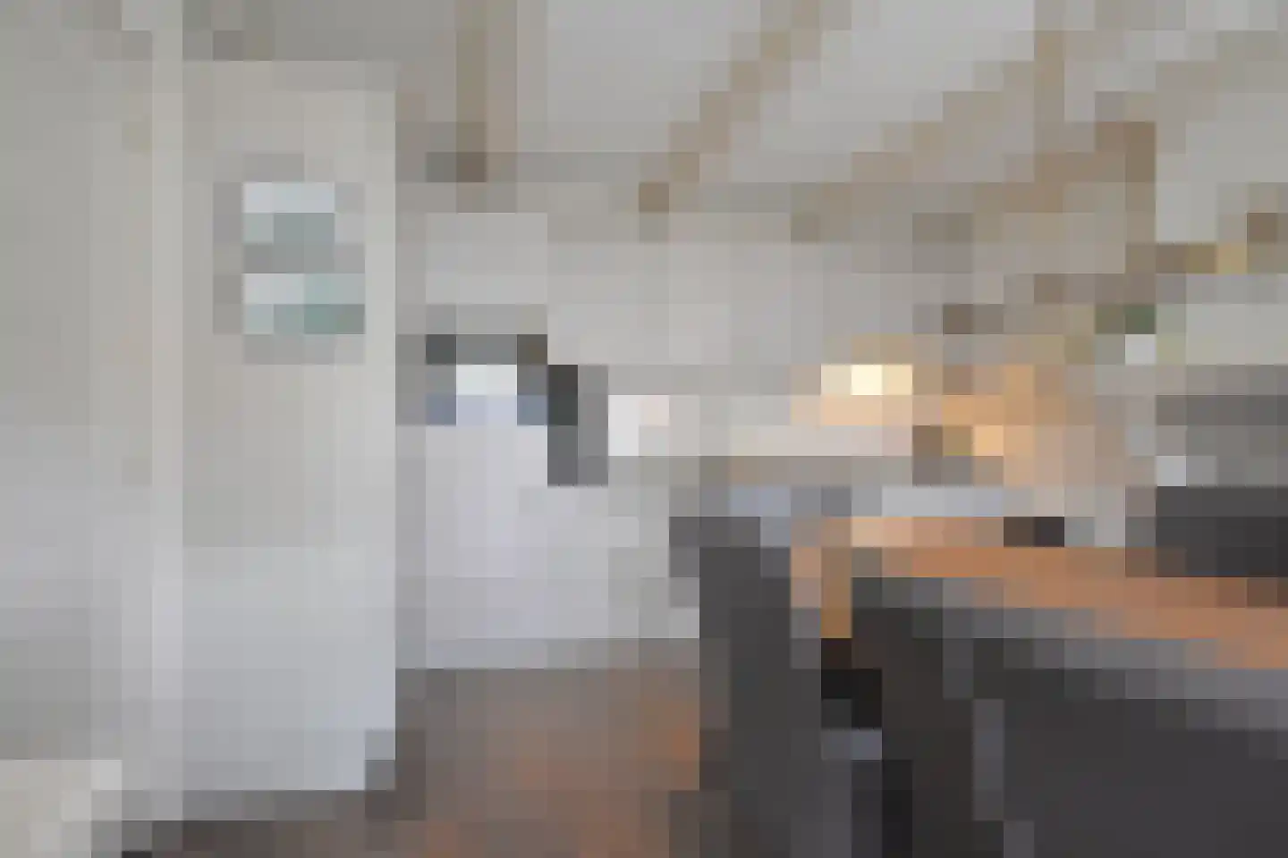 Foarstrjitte 63 De Westereen thumbnail 41