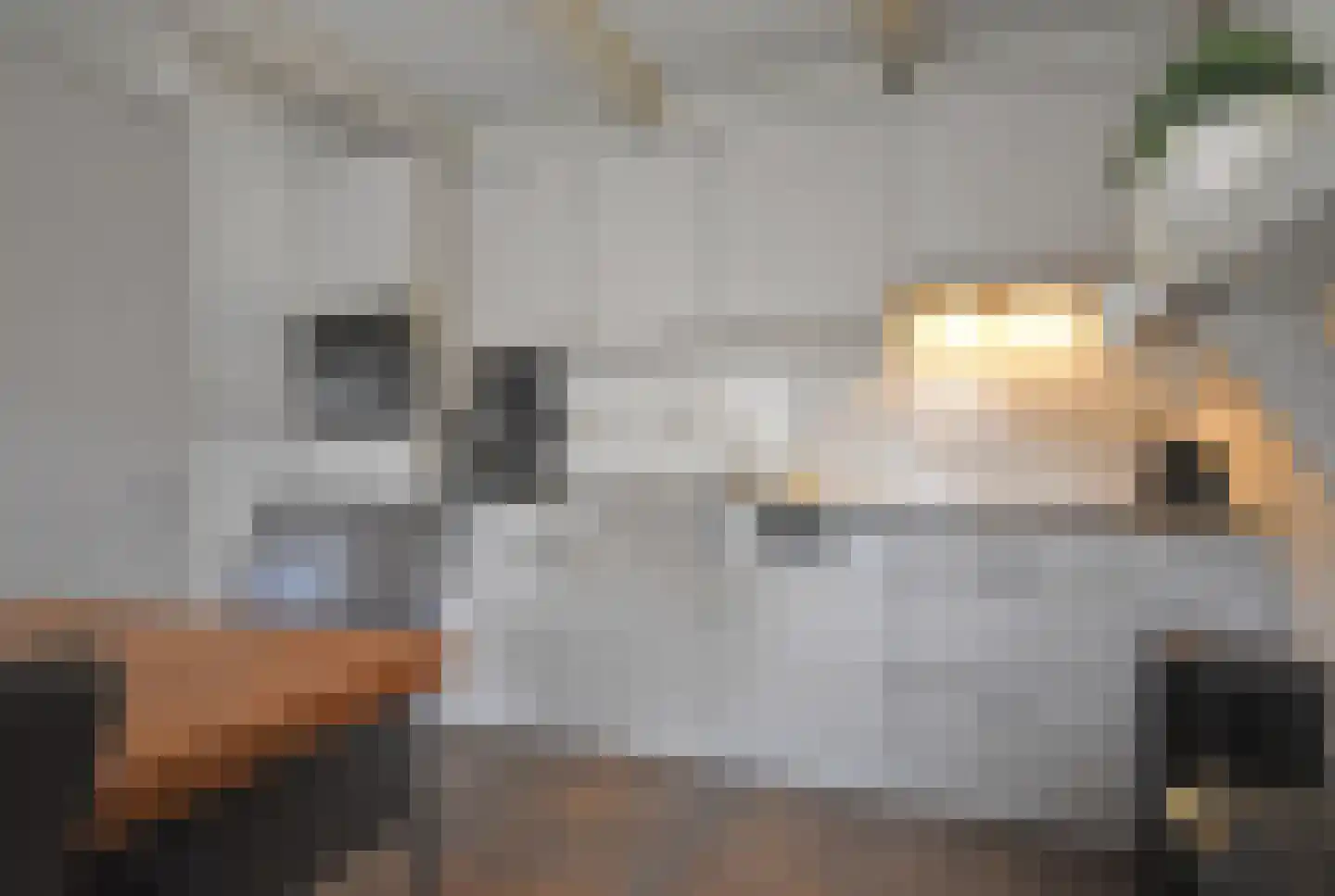 Foarstrjitte 63 De Westereen thumbnail 42