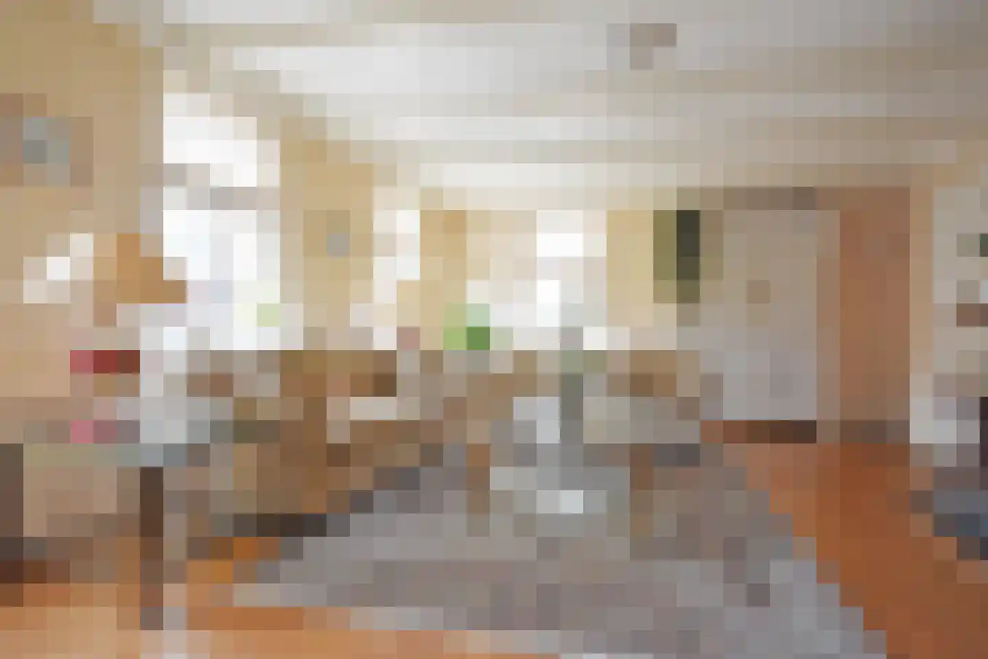 Foarstrjitte 63 De Westereen thumbnail 45