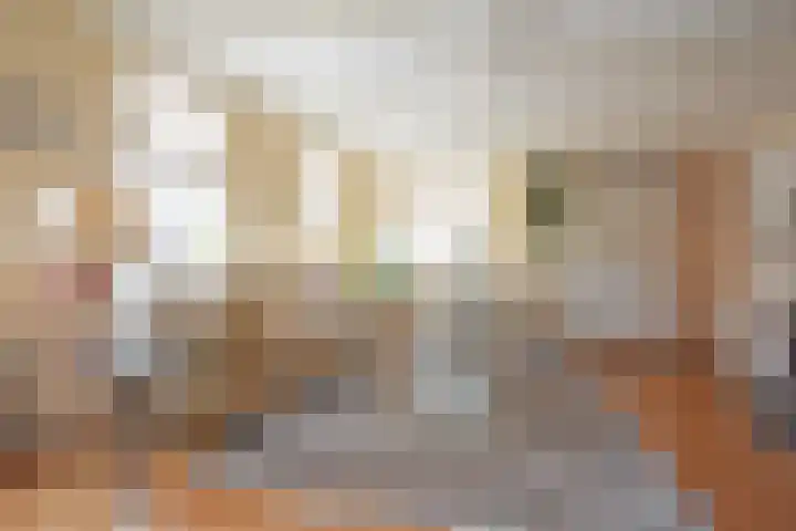 Foarstrjitte 63 De Westereen thumbnail 45
