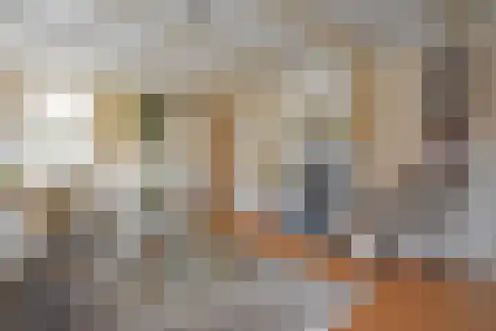 Foarstrjitte 63 De Westereen thumbnail 46