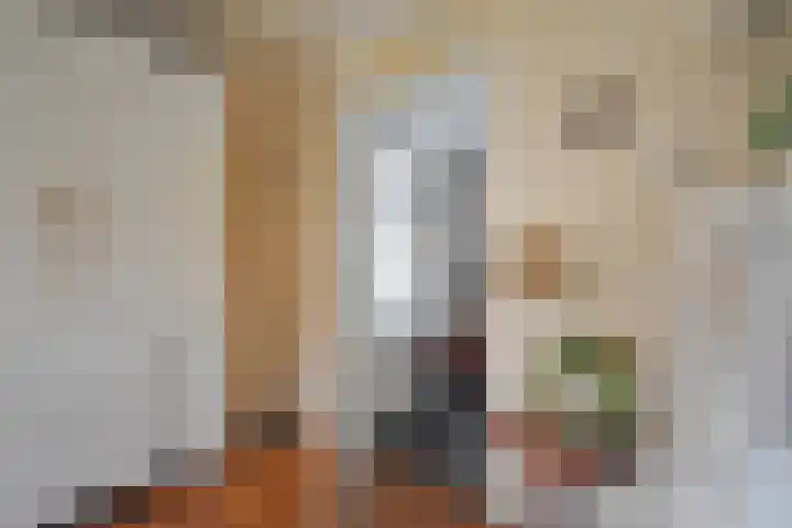 Foarstrjitte 63 De Westereen thumbnail 47