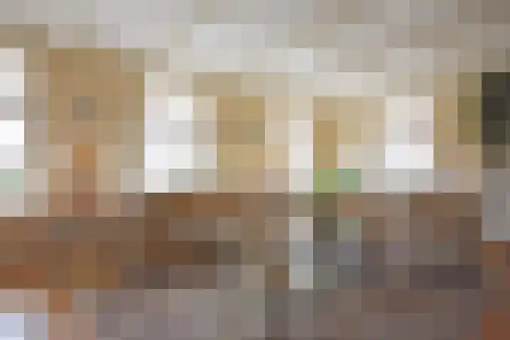 Foarstrjitte 63 De Westereen thumbnail 51