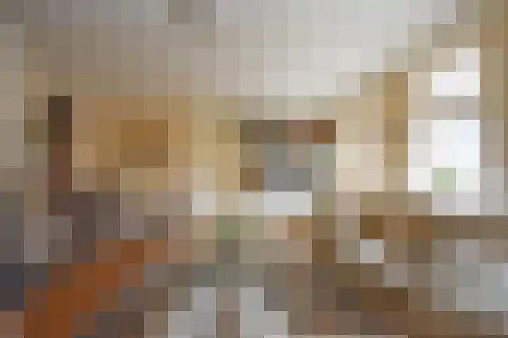 Foarstrjitte 63 De Westereen thumbnail 52