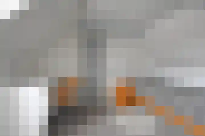 Foarstrjitte 63 De Westereen thumbnail 58