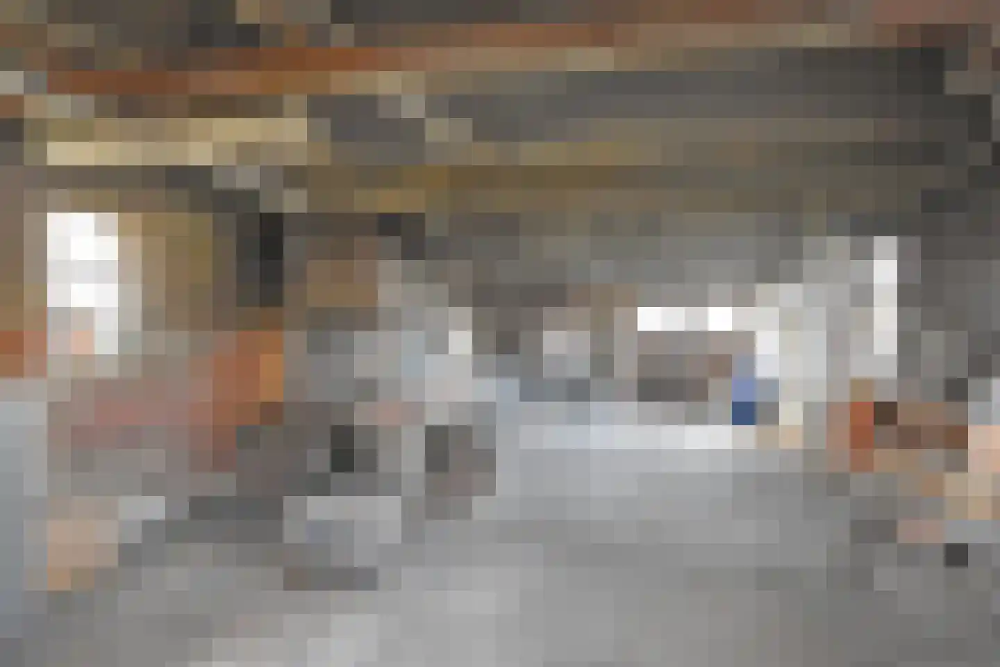 Foarstrjitte 63 De Westereen thumbnail 69