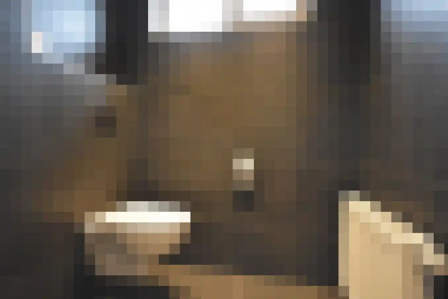 Foarstrjitte 63 De Westereen thumbnail 75