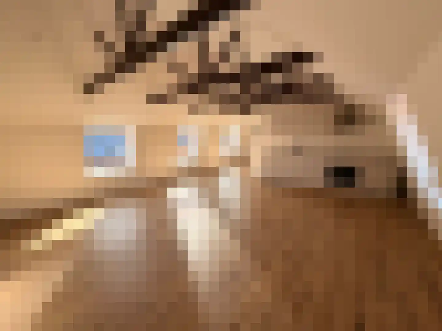 Foarstrjitte 78 b De Westereen thumbnail 11