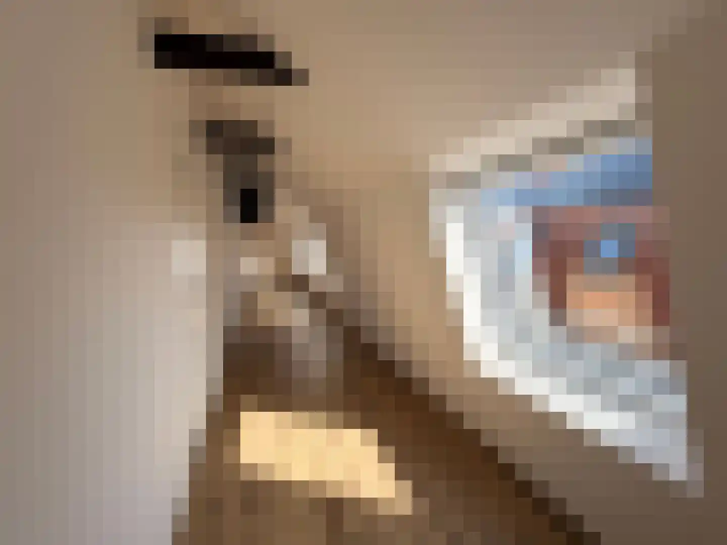 Foarstrjitte 78 b De Westereen thumbnail 4