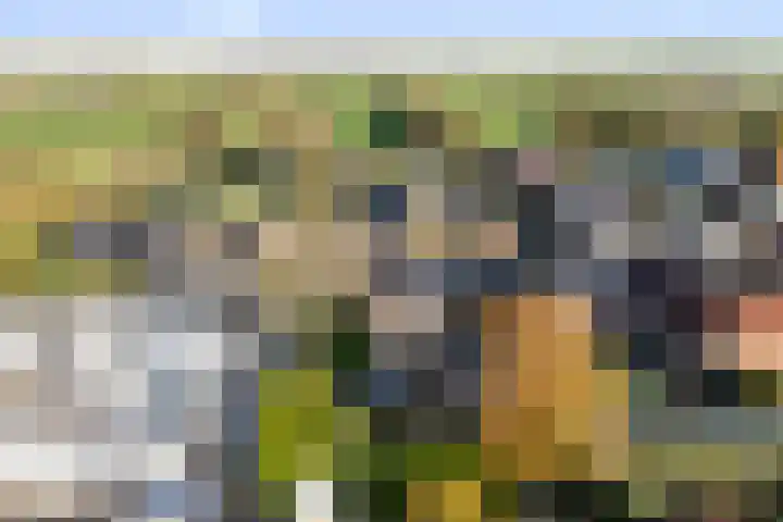 Foarstrjitte 82 De Westereen thumbnail 11