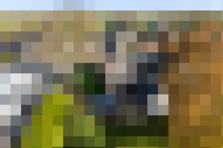 Foarstrjitte 82 De Westereen thumbnail 13