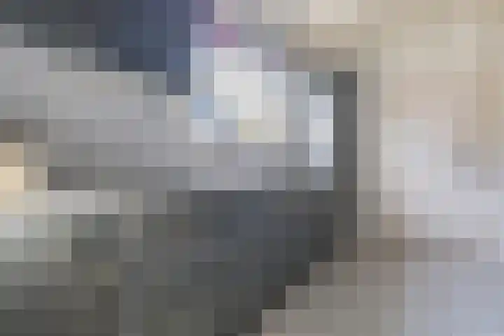 Foarstrjitte 82 De Westereen thumbnail 20