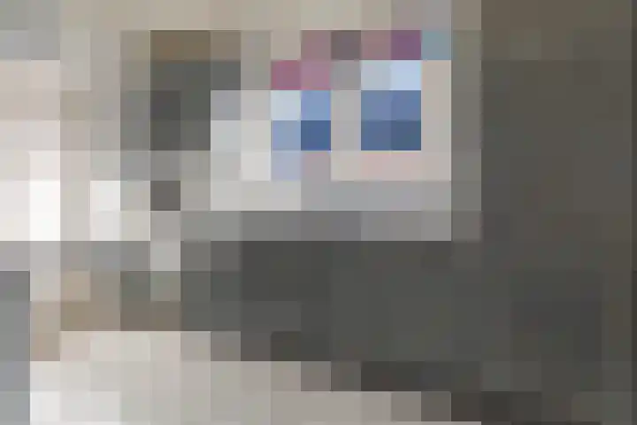 Foarstrjitte 82 De Westereen thumbnail 21