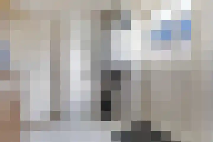 Foarstrjitte 82 De Westereen thumbnail 24
