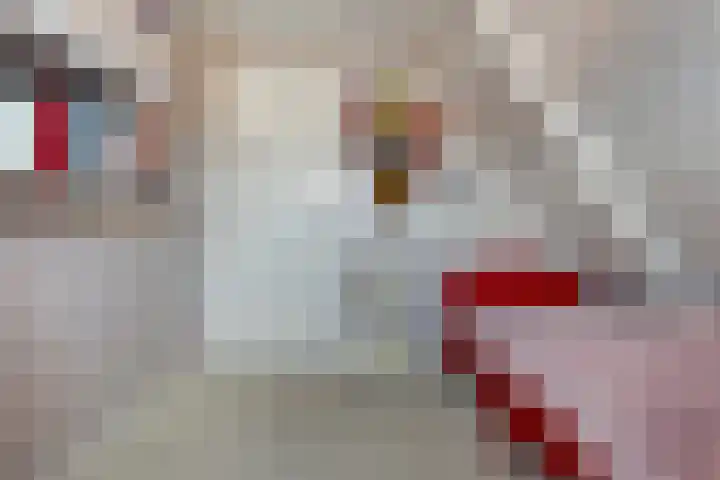 Foarstrjitte 82 De Westereen thumbnail 30