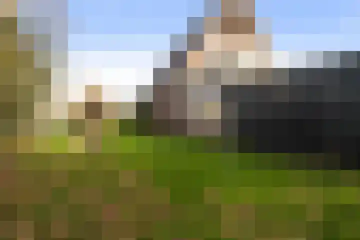 Foarstrjitte 82 De Westereen thumbnail 36