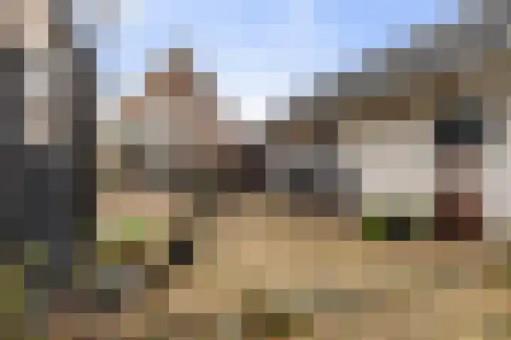 Foarstrjitte 82 De Westereen thumbnail 37