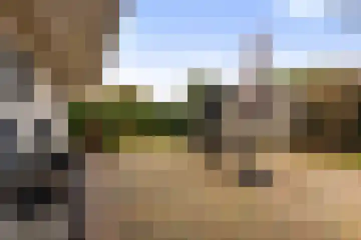 Foarstrjitte 82 De Westereen thumbnail 38