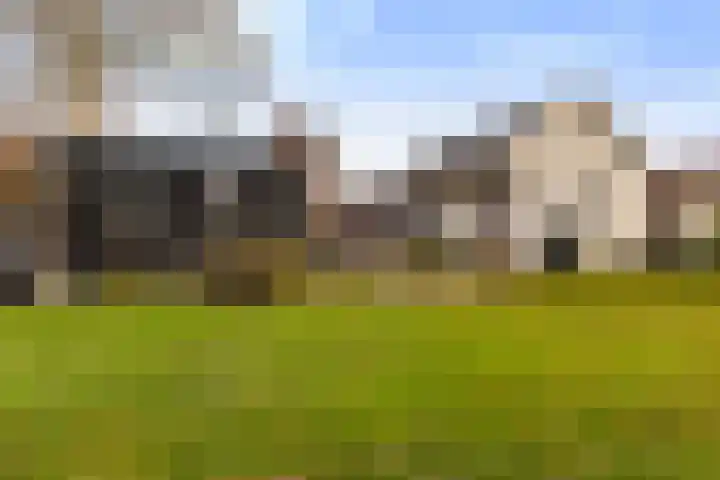 Foarstrjitte 82 De Westereen thumbnail 4