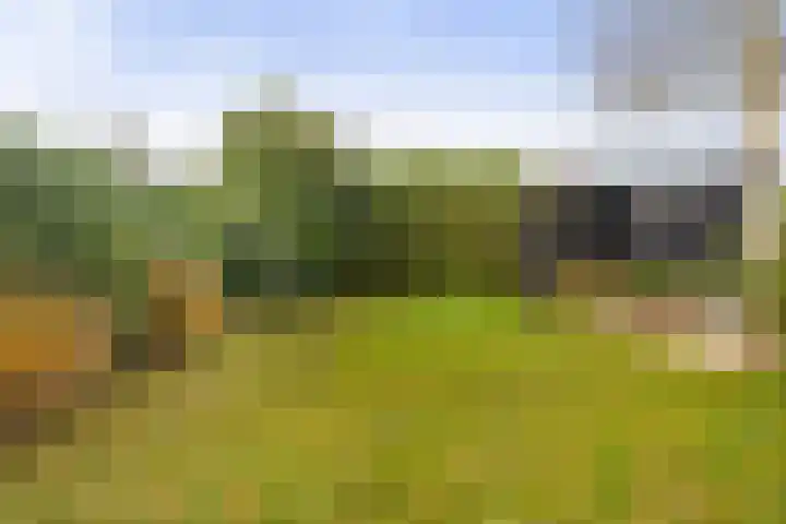 Foarstrjitte 82 De Westereen thumbnail 43