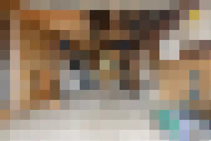 Foarstrjitte 82 De Westereen thumbnail 44
