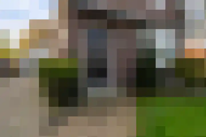 Foarstrjitte 82 De Westereen thumbnail 46