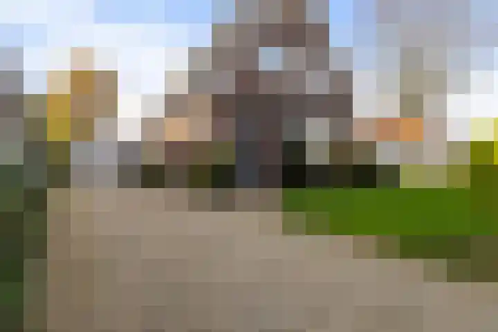 Foarstrjitte 82 De Westereen thumbnail 8