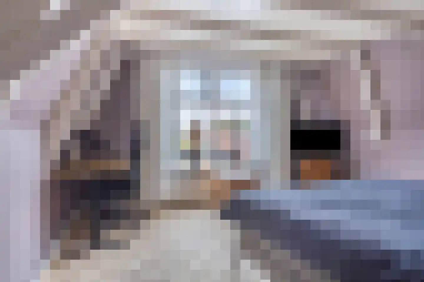 Foarwei 112 Kollumersweach thumbnail 37