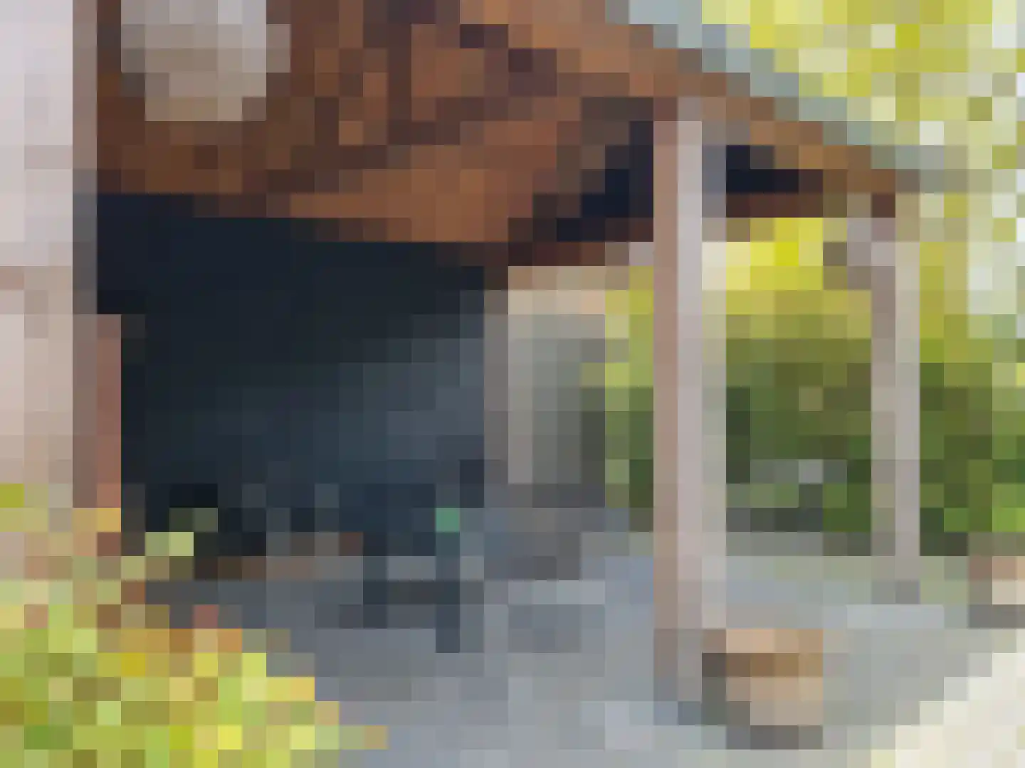 Foarwei 112 Kollumersweach thumbnail 48