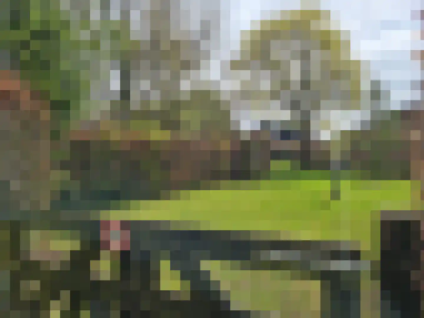 Foarwei 112 Kollumersweach thumbnail 50