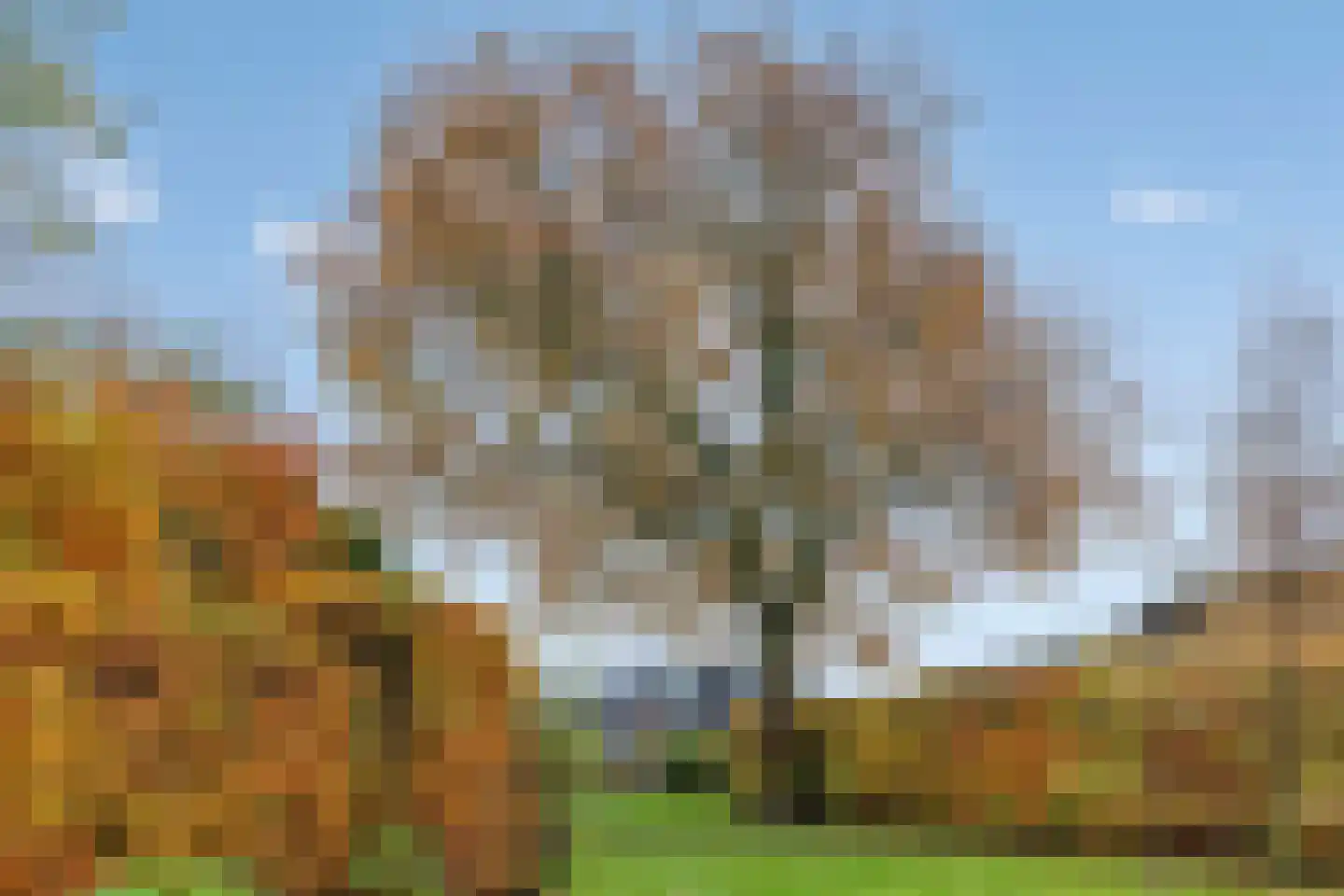 Foarwei 112 Kollumersweach thumbnail 56