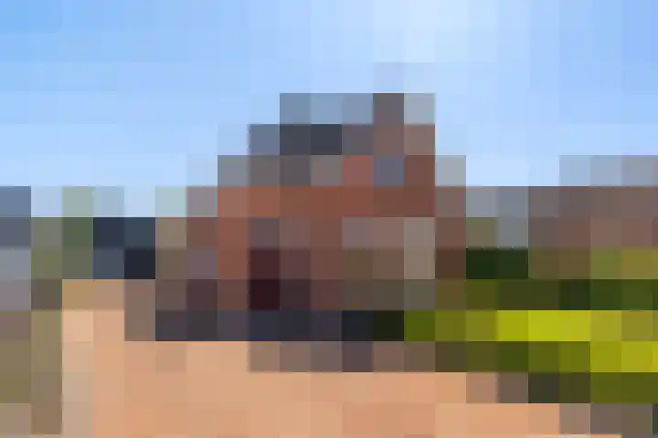 Foarwei 13 in Damwâld