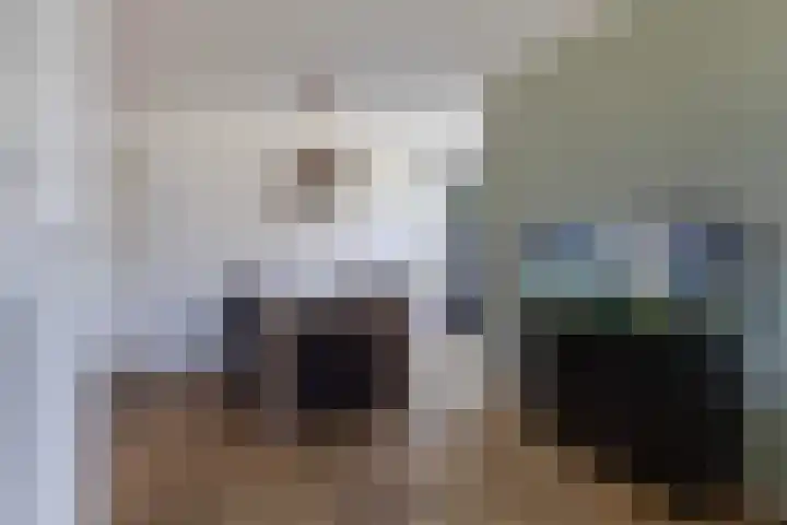 Foarwei 13 Damwâld thumbnail 17
