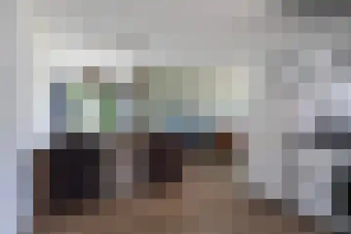 Foarwei 13 Damwâld thumbnail 19