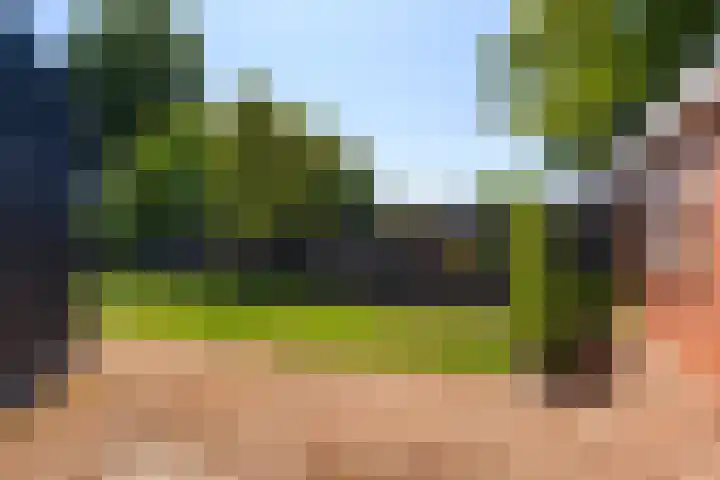 Foarwei 13 Damwâld thumbnail 28