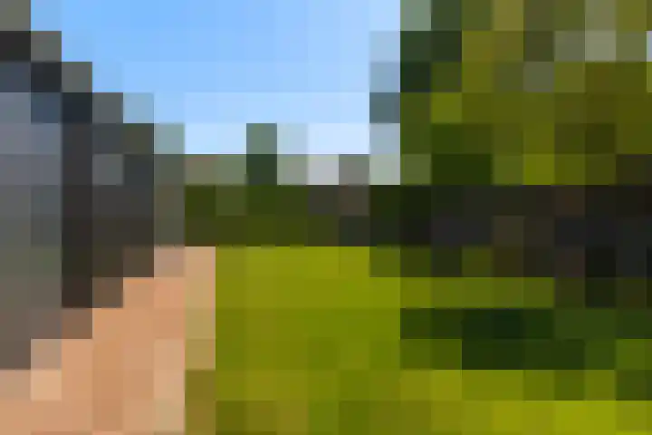 Foarwei 13 Damwâld thumbnail 29